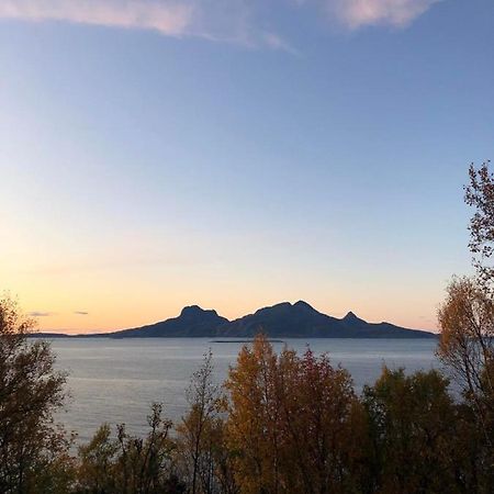 Old Fashion Cabin 10 Minutes From Bodo With Spectacular View! Villa Kültér fotó