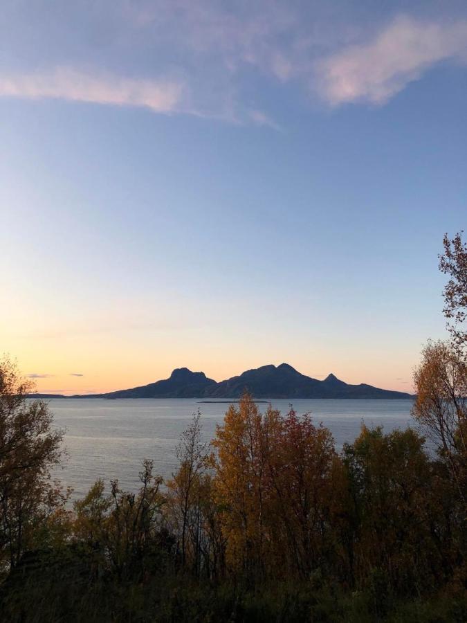 Old Fashion Cabin 10 Minutes From Bodo With Spectacular View! Villa Kültér fotó